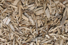 biomass boilers Thorntonloch